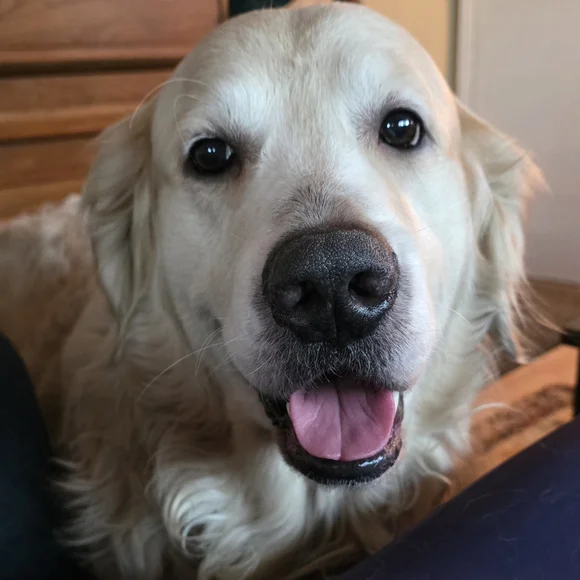 Unlisted Live Show Item ❤️ - Picture 2 of 3